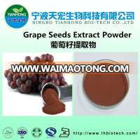 grape seed extract powder/grape seed extract/grape leaf extract Proanthocyanidins 95%