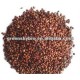 Grape Seed Powder Extract