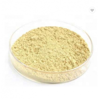 100% Pure Natural High Quality Sophora Japonica Extract 20:1