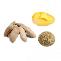 anti-fatty liver plant extract,20% protein African mango seed extract