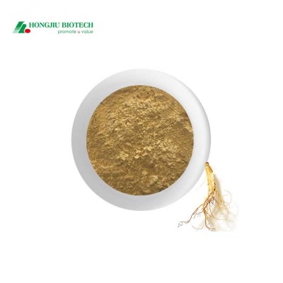 2020 New Goods High Quality Ginsenoside 5% Powder Ginseng Extract