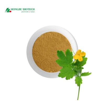 High Quality Pure Natural Chelidonium Majus Extract Powder