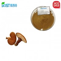 SOST Biotech Organic Plant Powder Red Reishi Mushroom Extract