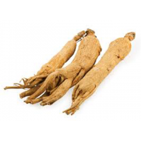 Top Quality Natural Plant Ginsenoside 50% Panax C.a. Meyer Ginseng Powder