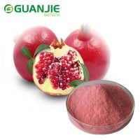 2016 hot sale 100% natural organic pomegranate powder pomegranate juice powder