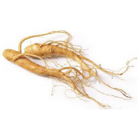 Ginseng extract