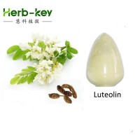 Manufacturer supply natural Sophora japonica L. extract Luteolin 98%