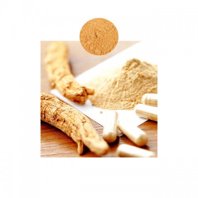 Whosale Beverage Use 8%HPLC Total Ginsenoside Panax Ginseng Root Extract Powder