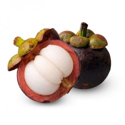 100% Natural Mangosteen Extract Alpha-mangostin 10-90%