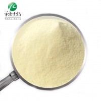 ISO factory supply Pineapple Juice Concentrated Powder