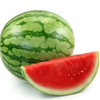 Watermelon Juice Powder Wholesale Price